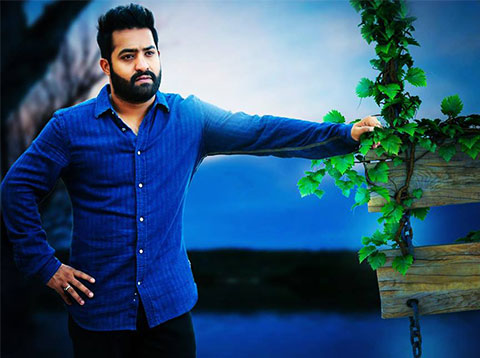 jr ntr,bobby,nivitha thomas,rashi khanna  మూడో ఎన్టీఆర్ కి హీరోయిన్ లేదంట..!